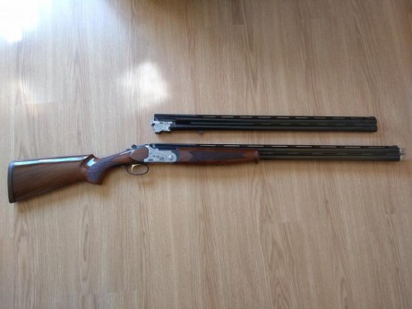 Vendo escopeta Lanber 2097 sporting, por dejar definitivamente el tiro al plato y recorridos.
La escopeta 00