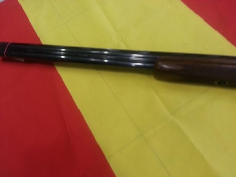 No tiene apenas uso. Extrtaordinaria escopeta a la altura de las mejores armas para el tiro al plato.Cambio 12