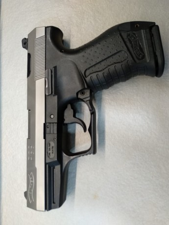 Hola compañeros:
Se vende walter P99 BICOLOR. 
El arma está guiada en A y casi no ha sido usada por el 10