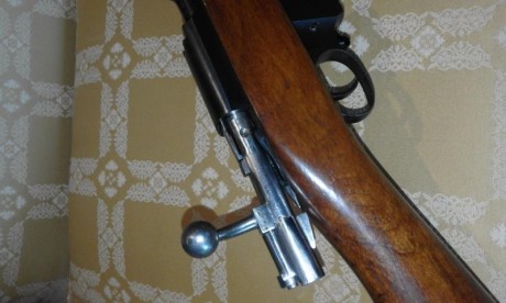Cambio destroyer del 9mm largo por óptica con tubo 30 mm que aguante disparos del 308 W  a ser posible 01