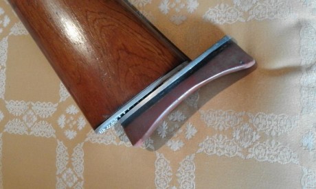 Cambio destroyer del 9mm largo por óptica con tubo 30 mm que aguante disparos del 308 W  a ser posible 10
