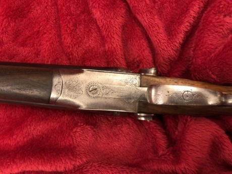 Buenas, edito y vuelvo a ponerla a la venta.

El mes pasado recibí esta escopeta de perrillos. Marca J. 31