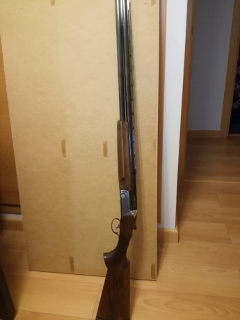 Vendida 51