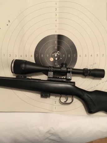 Hola vendo carabina Toz17-01 en muy buen estado tanto estético como mecánico,va con un cargador de 5 balas 02