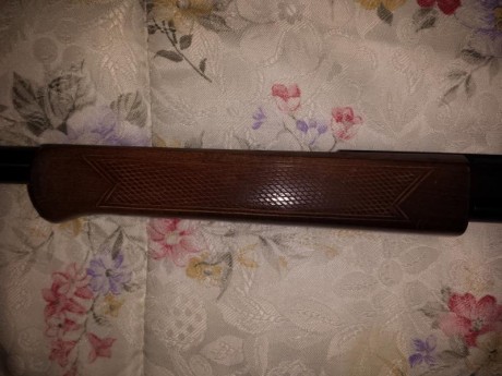 Buenas tardes , vendo carabina Alfa Hunter calibre 22lr , en perfecto estado , no ha tirado ni una caja 12