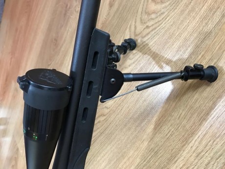 Se vende Remington 700 SPS varmint, calibre .308 win.

Incluye todo lo que se ve en las fotos:

Visor 11