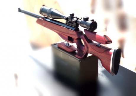 Vendo carabina destroyed super precisa.

-Calibre .25 6,35.

-20 Julios.

-Embotonada y encamisada.

-Sin 00