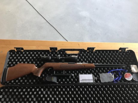 Vendo tx 200 esta nueva, tiene seta rowan, fue comprada en julio de este año y tiene toda la garantia, 00