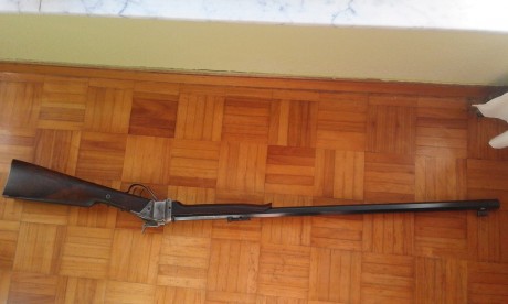 Rifle Sharp Sporting, I.A.B., calibre 45/70 precio de venta 700 euros, también estaría interesado en el 00
