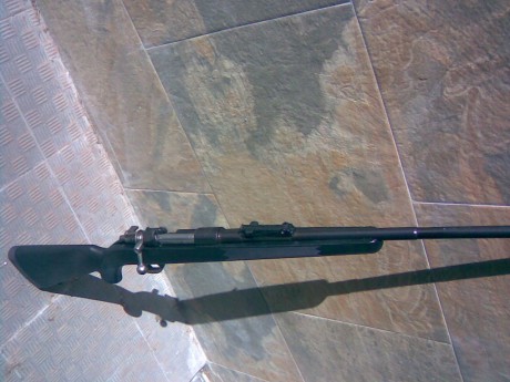 ...la que yo tengo, y es que dentro de unos años me he propuesto comprar un rifle como el que tengo, un 41