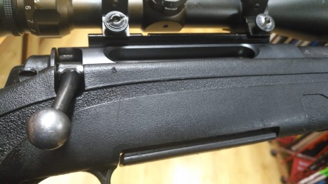 Vendo rifle Remington 770 calibre 30-06 con visor Bushnell 3-9 x 40 y funda por solo 400 euros portes 00
