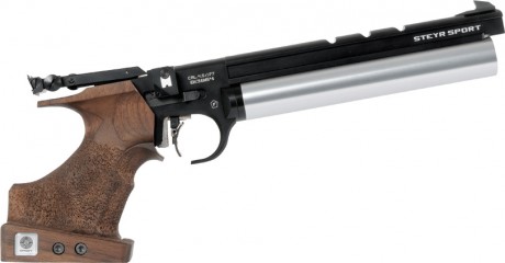 hola alguna pistola para poder tirar a 10 metros y hacer precisión con una cargador de varios balines 10