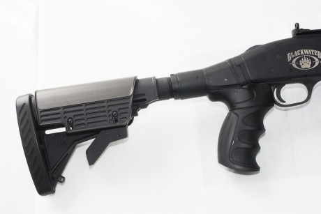 VENDIDA


Hola,

Pongo en venta mi escopeta  Mossberg 590A1 Blackwater .
Tiene sustituida la culata por 11