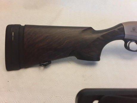  20181005_105407.jpg SEMIAUTOMATICA BERETTA  a400 Plor Action 12/70

Accesorios :
Cañón Slug con alza 00