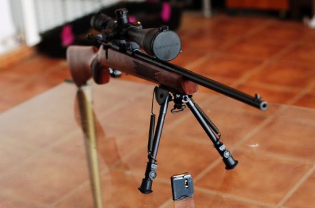 VENDO CARABINA RHENUS 22 WMR en perfecto estado. La vendo porque no la uso. Se vende sin visor y sin tripode. 02