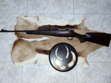 Vendo rifle remington seven calibre 7/08 con bases apel, gastos de envio si los hubiera por cuenta del 00