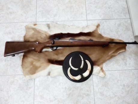 Vendo rifle sabatti 7 mm remington magnum, en muy buen estado, practicamente sin uso, con bases apel originales 01