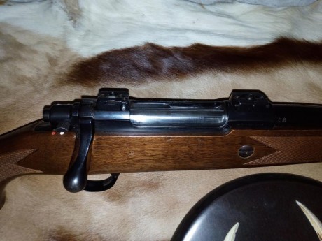 Vendo rifle sabatti 7 mm remington magnum, en muy buen estado, practicamente sin uso, con bases apel originales 00