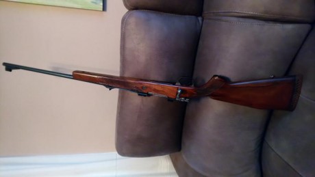 Buenas tardes, con enorme pena pongo a la venta mi santa barbara del 308w. Modelo deluxe.
Metales como 21