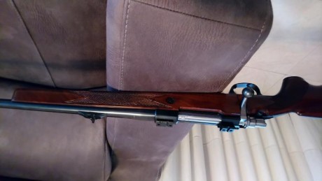 Buenas tardes, con enorme pena pongo a la venta mi santa barbara del 308w. Modelo deluxe.
Metales como 20