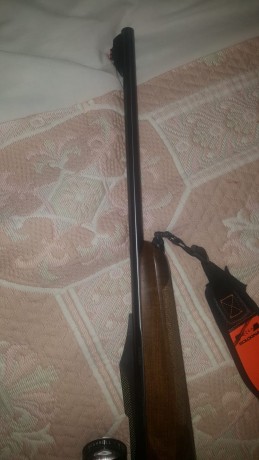 Se vende Benelli Argo 9,3x62. Practicamente nuevo, con pocos tiros. Correa porta fusil, bases y anillas 11