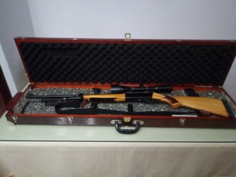 Vendo carabina del .22 semiautomática. Marca Anschutz, modelo 520.
Incluyo visor gamo 4-12 44, montras 02