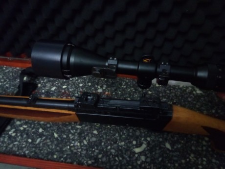 Vendo carabina del .22 semiautomática. Marca Anschutz, modelo 520.
Incluyo visor gamo 4-12 44, montras 01