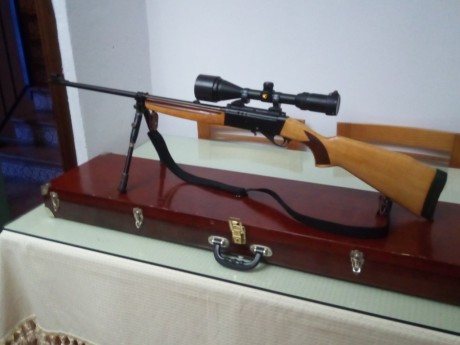 Vendo carabina del .22 semiautomática. Marca Anschutz, modelo 520.
Incluyo visor gamo 4-12 44, montras 10