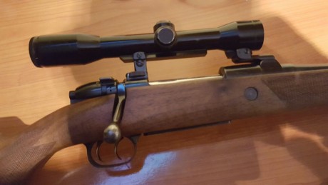 Hola.  Un amigo vende éste rifle, con cañón de 66cm, en calibre 7mm reminton magnum y monturas mas anillas 10