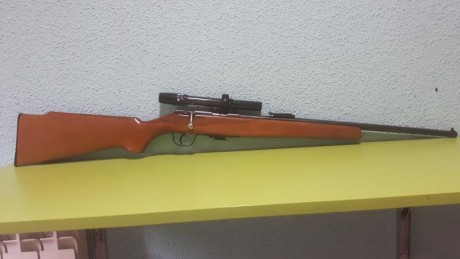 Vendo carabina Onena  500 con visor y tres cargadores, dos de 5 y uno de 10 cartuchos, casi sin huso, 02