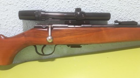 Vendo carabina Onena  500 con visor y tres cargadores, dos de 5 y uno de 10 cartuchos, casi sin huso, 01