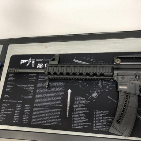 Buenas a todos,

Pongo en venta mi SW MP-15 calibre 22.  He disfrutado mucho con ella, arma fiable, sin 00