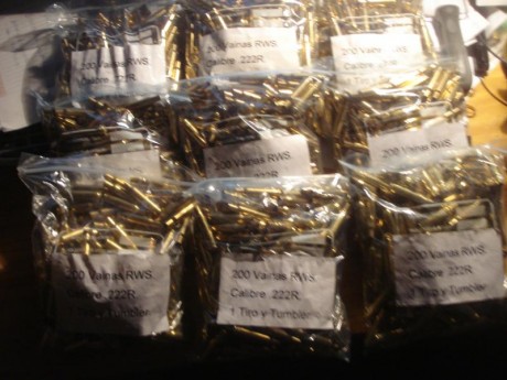 Cerrar por favor,Vendidas las mil ochocientas (1.800) vainas RWS del .222R por cese del tiro.

Un tiro 00