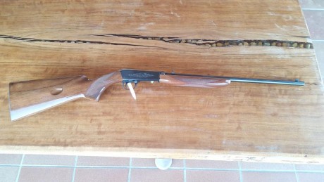 Se vende por no usar carabina browning desmontable calibre 22 lr impecable con muy poco uso. Capacidad 02