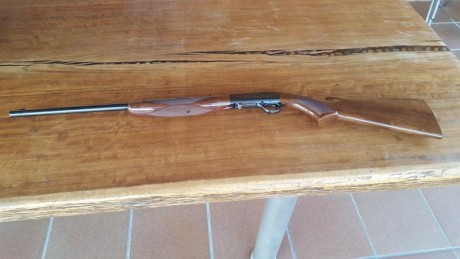 Se vende por no usar carabina browning desmontable calibre 22 lr impecable con muy poco uso. Capacidad 01