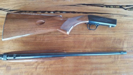 Se vende por no usar carabina browning desmontable calibre 22 lr impecable con muy poco uso. Capacidad 00