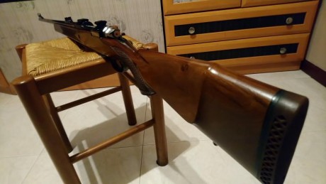 Buenas tardes, con enorme pena pongo a la venta mi santa barbara del 308w. Modelo deluxe.
Metales como 72