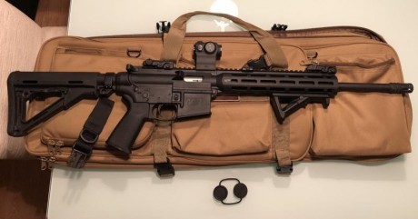 Vendo mi carabina, en perfecto estado, la entrego con empuñadura magpul, grip y culata, visor holosun 02