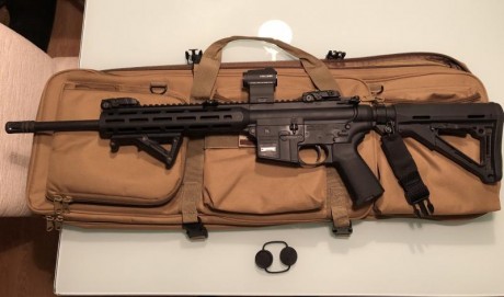 Vendo mi carabina, en perfecto estado, la entrego con empuñadura magpul, grip y culata, visor holosun 01