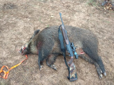El 30-06 ha sido probado en varias guerras y aqui en U.S. se usa para todo tipo de caceria exceptuando 170