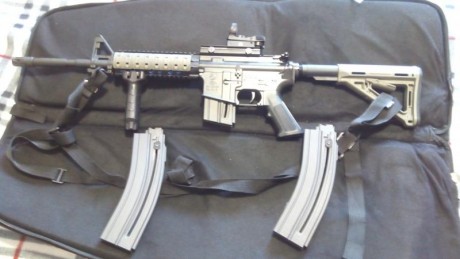 Cambio carabina colt walther cal 22lr, por pistola de pequeño calibre 22 corto, 22lr, 7,65, 380 ( 9 corto).
Saludos 00