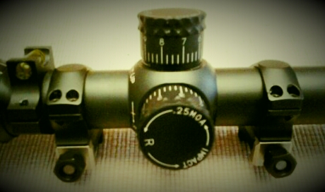 VENDO VISOR (SIN ANILLAS INCLUIDAS)
 
NIGHTFORCE NXS 12-42x-56
RETÍCULA MILDOT ILUMINADA (SEGUNDO PLANO 02