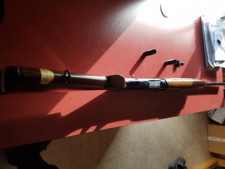Escopeta repetidora del calibre 12 ( 3 cartuchos) de la marca Lanber con 3 choques para que abra o cierre 12