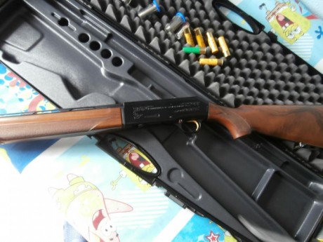 Vendo repetidora BERETTA-Modelo 390 ( cal 20 ).

Comprada para mi hija ,cuando pensaba que le gustaria 02