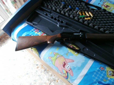 Vendo repetidora BERETTA-Modelo 390 ( cal 20 ).

Comprada para mi hija ,cuando pensaba que le gustaria 01