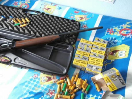Vendo repetidora BERETTA-Modelo 390 ( cal 20 ).

Comprada para mi hija ,cuando pensaba que le gustaria 12