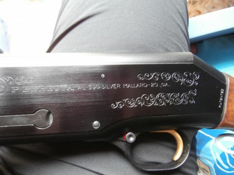 Vendo repetidora BERETTA-Modelo 390 ( cal 20 ).

Comprada para mi hija ,cuando pensaba que le gustaria 11