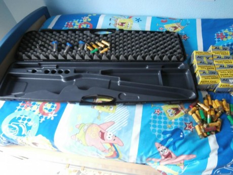 Vendo repetidora BERETTA-Modelo 390 ( cal 20 ).

Comprada para mi hija ,cuando pensaba que le gustaria 20