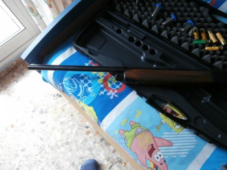 Vendo repetidora BERETTA-Modelo 390 ( cal 20 ).

Comprada para mi hija ,cuando pensaba que le gustaria 32