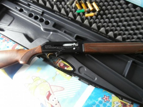 Vendo repetidora BERETTA-Modelo 390 ( cal 20 ).

Comprada para mi hija ,cuando pensaba que le gustaria 30